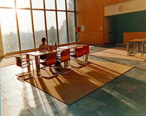 Natural light illuminating a modern desk